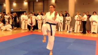 GKR Karate National Championships 2012 Sheffield [upl. by Winola]