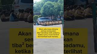 Bener g niih youtubeshorts hiburandirumah masukberanda [upl. by Rajiv312]