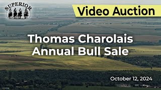 Thomas Charolais Annual Bull Sale [upl. by Ronn]