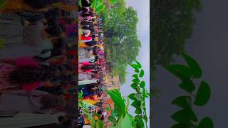 Parul Rathva song Timli dance video  timli shorts short [upl. by Avra334]