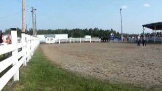 2009 Napan Agricultural Show  Draft Horse ThreeAbreast Hitch [upl. by Rafaello]