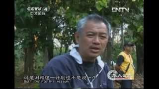 CCTV 4 Chinese World Huarenshijie  interviewing Tomy Winata about rescue Sumatran Tiger [upl. by Aehr]