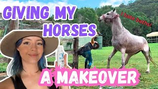 Giving my horses a makeover vlog [upl. by Notwen]