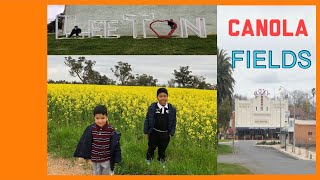 OUR VISIT TO LEETON AND THE CANOLA FIELDS IN RIVERINA NEW SOUTH WALES [upl. by Vokay]