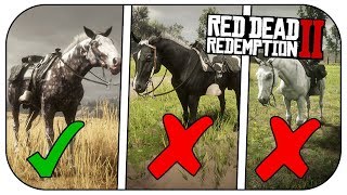 How to get the MISSOURI FOX TROTTER FASTEST Horse In RED DEAD REDEMPTION 2 [upl. by Calvo668]