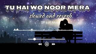 Tu hai Wo Noor Mera songs  slowed and reverb songs  new Bollywood hindi songs [upl. by Ponzo]