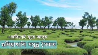 ঢাকা থেকে একদিনেই ঘুরে আসুন গুলিয়াখালি সমুদ্র সৈকত  GuliaKhali Sea Beach  Chottogram [upl. by Weider991]