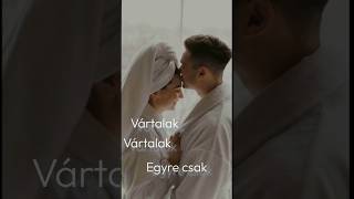 Fekete Pákó  Vártalak ❤️ feketepákó music song trending lovesong feketepakoonline4283 [upl. by Akisey]