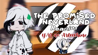 The Promised Neverland react to YN as Arlecchino  GachaClub  Read Description [upl. by Kilian]