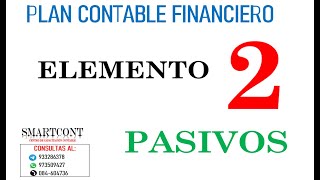 ELEMENTO 2 PASIVO  PLAN CONTABLE FINANCIERO 2024 [upl. by Finny]