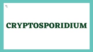 Cryptosporidium  Morphology Life Cycle Cryptosporidiosis lab Diagnosis Treatment  MedZukhruf [upl. by Cerf]