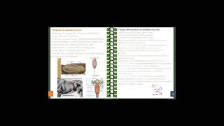 04 veterinary myology general basic anatomy part 1  2 [upl. by Cob]