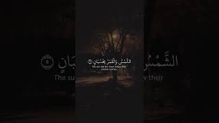 ٨ أكتوبر ٢٠٢٤ [upl. by Keyte]