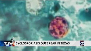 Cyclosporiasis outbreak in Texas [upl. by Ailehs]