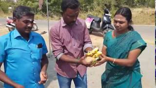 Bore well drillingComplete video3 inch water in home bore at SankagiriDivining by Selvakumar [upl. by Calandra]