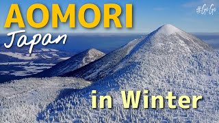 Amazing Aomori Japan in Winter [upl. by Henrieta]