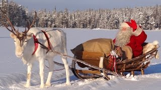 Les meilleurs messages du Père Noël aux enfants 😍🎅 vidéo Papa Noël à Rovaniemi en Laponie Finlande [upl. by Ytsud118]