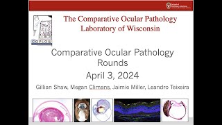 COPLOW Ocular Pathology Rounds April 3 2024 [upl. by Anemolihp]