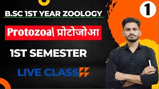 प्रोटोजोआ BSc 1st year zoology chapter 1 in hindi  bsc 1st year zoology  zoology bsc 1st year [upl. by Ysak676]