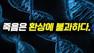 생물학자가 밝혀낸 죽음의 근본적 의미 [upl. by Hepzi111]