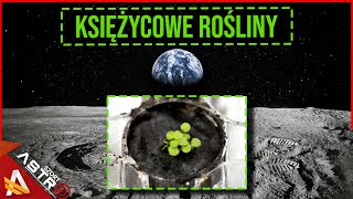 Rośliny wyhodowane w księżycowej glebie  AstroSzort [upl. by Stricklan]