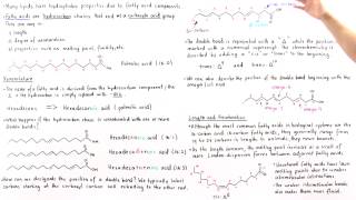 Fatty Acids [upl. by Grazia]