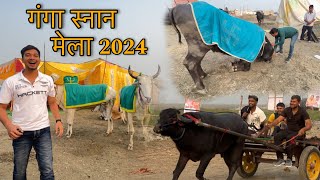 Ganga snan mela  Garh 2024  BullRiderVlogs [upl. by Skippy]