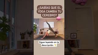 Yoga para Principiantes [upl. by Prosperus]