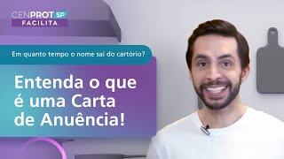 Tudo o que você PRECISA saber sobre carta de anuência  CenprotSP Facilita [upl. by Cuttler887]