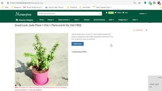 Free Plants  How to get a Free Jade Plant on nurserylivecom  nurserylive [upl. by Meade]