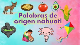 PALABRAS NÁHUATL QUE USAMOS EN ESPAÑOL  Palabras de origen nahuatl  dilo en náhuatl con XIPATLANI [upl. by Calabresi485]