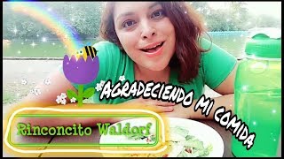 Canción y verso para dar gracias por alimentos Waldorf [upl. by Mita]