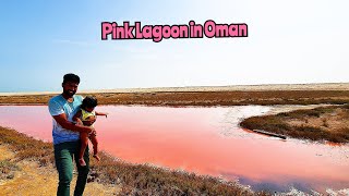 Pink Lagoon  Al Suwaih in the South Sharqiyah Governorate Oman vlog  Pink Lake in Oman [upl. by Zweig394]