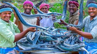 SNAKE Like Fish 100 KG GARFISH Recipe Cooking  Fried and Tawa Dried Fish Fry  Seafood Recipes [upl. by Etrem]