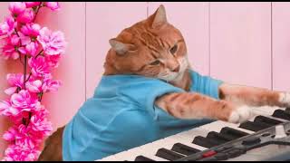 Keyboard Cat Behind The Scenes  SHOCKING NEW FOOTAGE Cat playing Piano [upl. by Akilaz436]