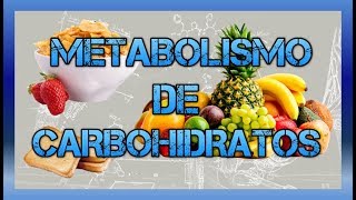 Metabolismo de carbohidratos BIOQUÍMICA [upl. by Aibara]