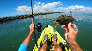 Epic Day On The Ocean Fishing With Crab  Charleston Inlet SC Fishing [upl. by Ogata811]