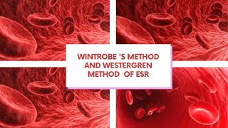 Wintrobes method and Westergren method for ESR [upl. by Ellehsor812]