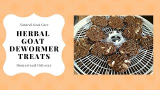 Making Herbal Goat Deworming Cookies Natural Goat Care [upl. by Alyssa33]