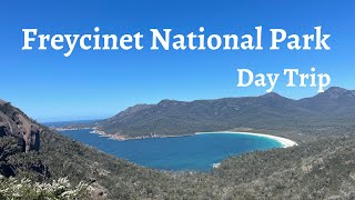 Freycinet National Park  Wineglass Bay  East Coast Tasmania Tasmania  Australia  Road Trip  4K [upl. by Annaohj]