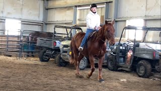 HORSEBACK RIDING LESSON INDOOR ARENA  AT KROWICKIS TOUCH OF MAGIC STABLES NEW EGYPT NJ [upl. by Shurlock]