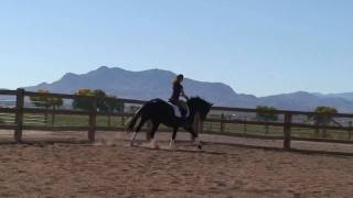 Amélie Swedish Warmblood Sporthorse dressage horse for sale [upl. by Cherie]