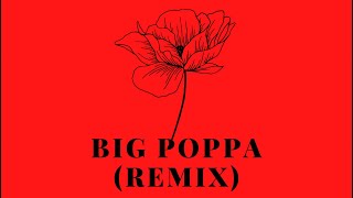 The Notorious BIG  Big Poppa Remix  BSIRIS [upl. by Myna]