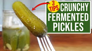 3 TIPS for making FERMENTED PICKLES CRUNCHY [upl. by Hedgcock563]