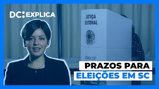 Quais são os prazos das Eleições 2022  DC Explica [upl. by Ilysa]