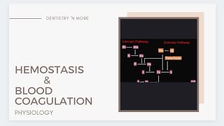 HEMOSTASIS amp BLOOD COAGULATION [upl. by Atirak]