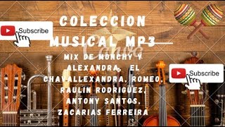 BACHATA MIX VARIADO DJ Coleccion [upl. by Alveta]