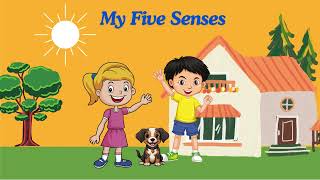 My Five Senses 1  Exploring the Sense of Touch  Fun Learning for Kids [upl. by Mcconaghy126]