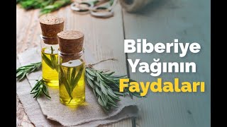 Biberiye Yağı Nedir Fayda ve Zararları Nelerdir [upl. by Acemahs899]