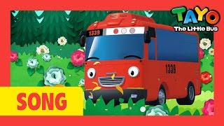 Tayo song RingA ringO Roses l Nursery Rhymes l Tayo the Little Bus [upl. by Willis]